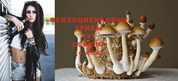 мдпв Каменногорск