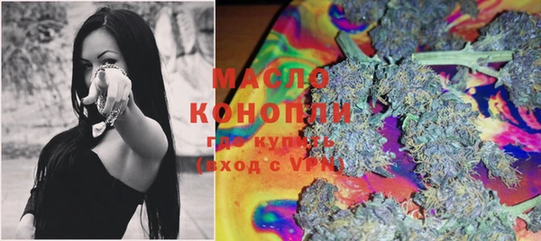 мдпв Каменногорск