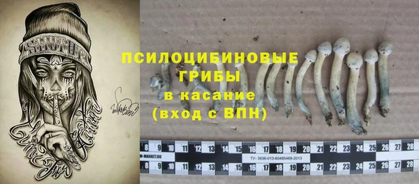 дживик Зеленокумск