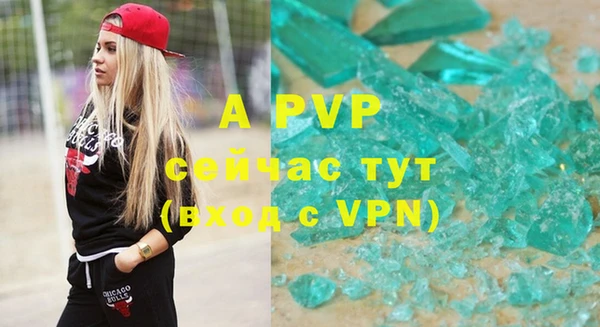 дживик Каменка