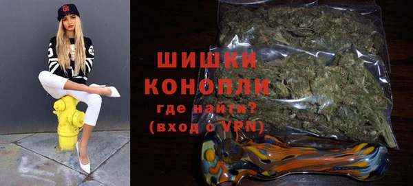 дживик Каменка