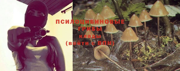 мдпв Каменногорск