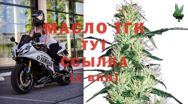 мдпв Касимов