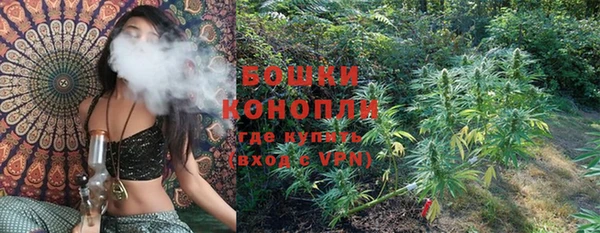 мдпв Каменногорск