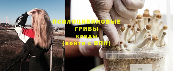 мдпв Каменногорск